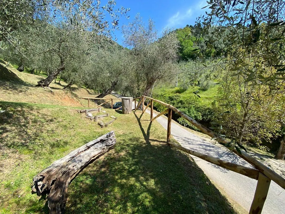 Villino Mami Con Piscina Villa Mommio Holiday home